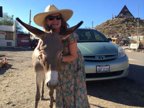 Description: atydonk